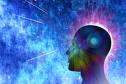brain neurons brain neurons