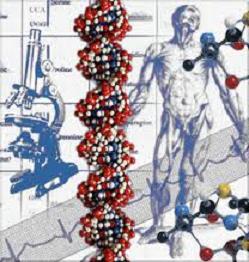 Double Helix DNA