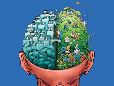 wholebrain thinking wholebrain thinking