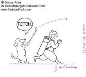 dog tricks dog tricks