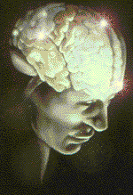 How does the brainwork Holistically? how the brain works