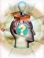 Discover how the brain works multiple brain functions