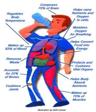 Drink more water!