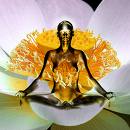 meditation meditation