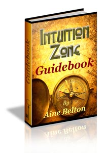 Intuition guide book Intuition guide book