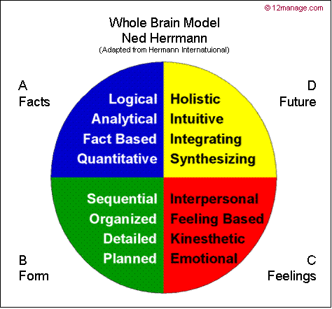 four quadrants of the brain