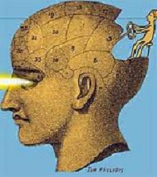 Intuition Program intuition guidance