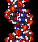 Read also what Kryon says about our DNA DNA