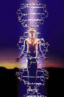 DNA Activation