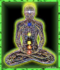 meridians meridians